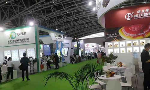 20th-CPhI-&-P-MEC-China-2020-Exhibition